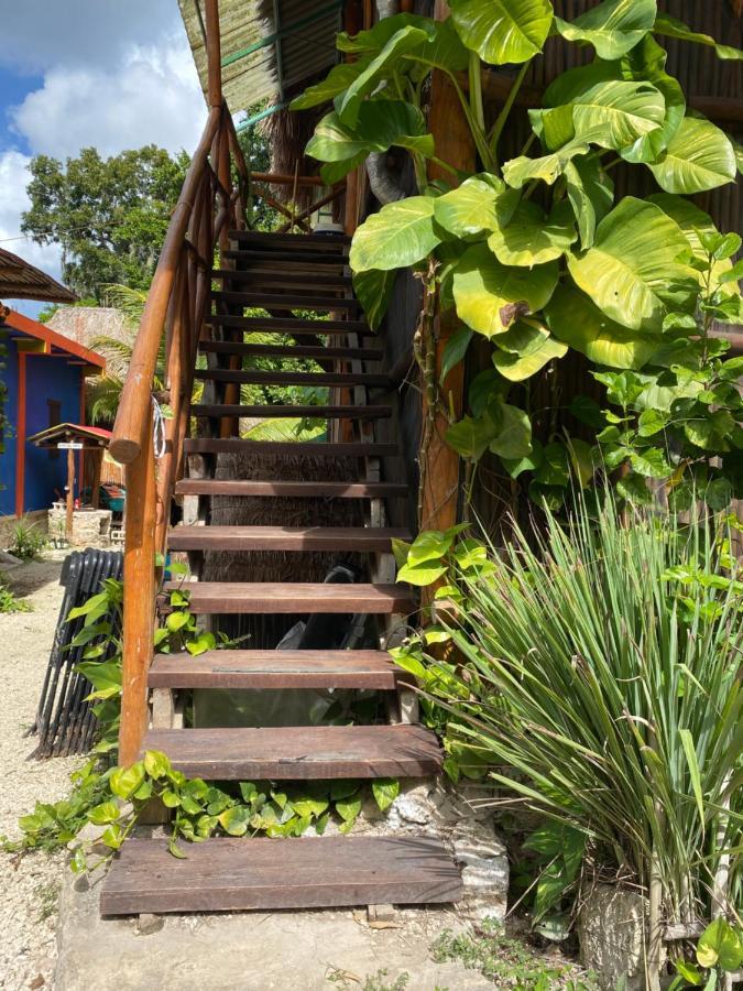 Malinche Cafe in Coba Tulum Apartment Bagian luar foto